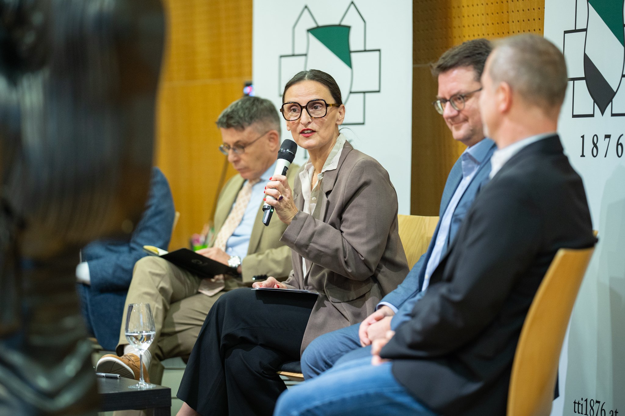 37. Kulturtage: Podiumsdiskussion, Foto 27